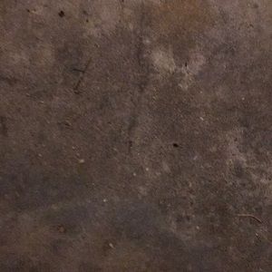 Meet your Posher, Shane